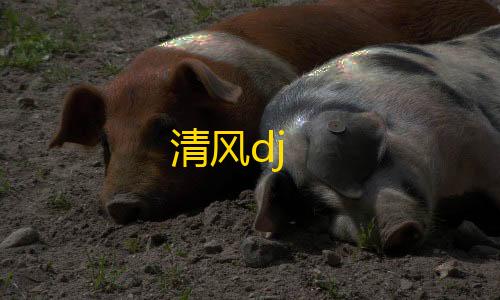 高能英雄直装v10清风dj